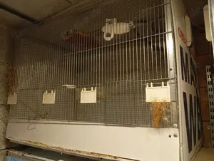 Vogelvoliere, zuchtbox 