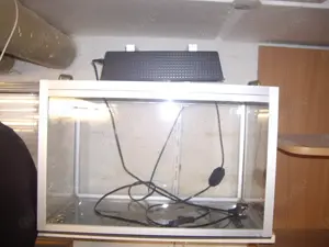 Terrarium. Trockenterrarium.