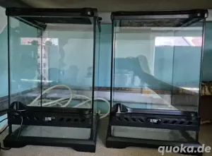 Komplett Verkauf Exo Terra Terrarium Kronengecko Gecko 
