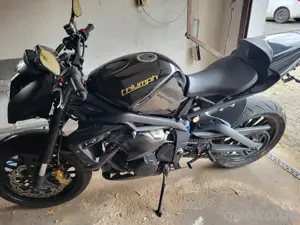 Triumph Street Trible