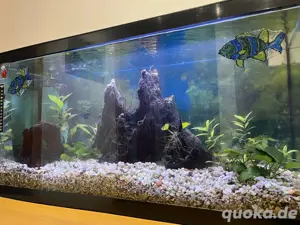 Aquarium mit Zubehör