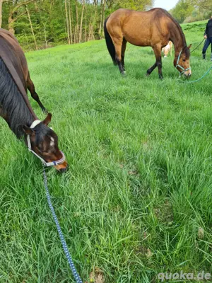 Beteiligung Freizeitbereich 