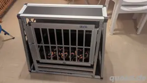 Hundebox von Alpuna