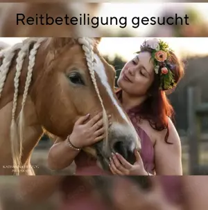 Reitbeteiligung gesucht - Neuhausen ob Eck