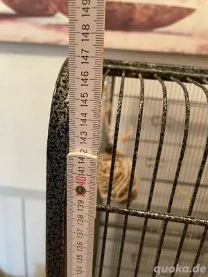 Haus fur Vogel