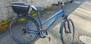 Damen Mountainbike