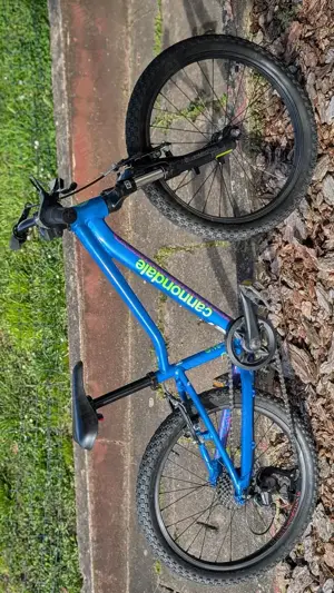 Kindermountainbike 20 Zoll