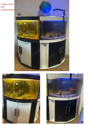 Aquarium Juwel Trigon 190L 2x