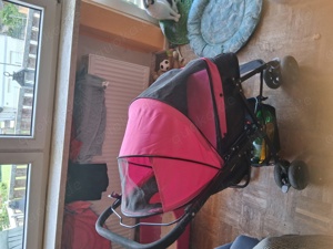 Hundebuggy Katzenbuggy 