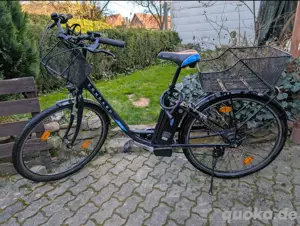Damen Ebike