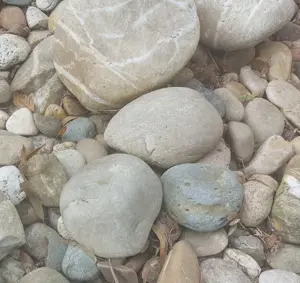 Große und mittelgroße Kieselsteine zu verschenken :)