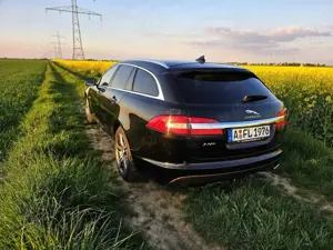 Jaguar XF XF Sportbrake Diesel 2.2 Diesel Sportbrake Bild 2