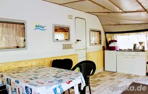 Camping X.