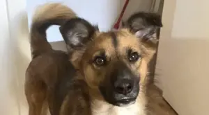 Kali ist ein hübscher Quatschkopf