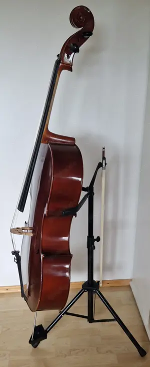 Cello für Erwachsene