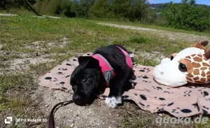 LETTY    kleine Heldin sucht ihr Glück Bild 2