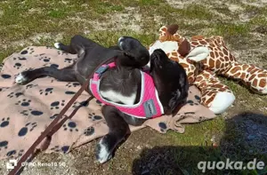LETTY    kleine Heldin sucht ihr Glück Bild 7