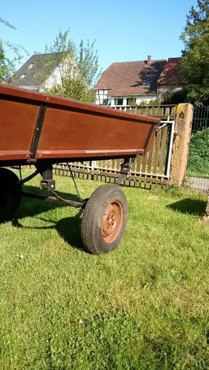 Ponywagen zu verkaufen Bild 4