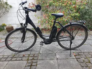 E-Bike Raleigh "Jersey 7"