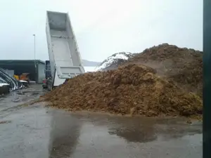 Pferdemist   Pferde machen Mist   Pferdeapfel