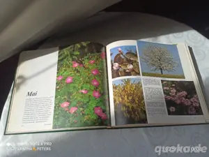 Garten Buch  Bild 2