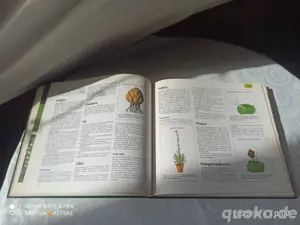 Garten Buch  Bild 3