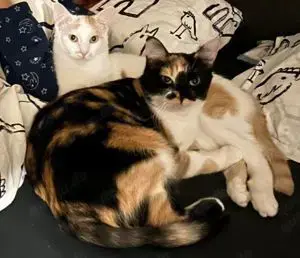 Pauline & Maxi Mama-Sohn-Duo auf der Suche nach ihrem Glück.