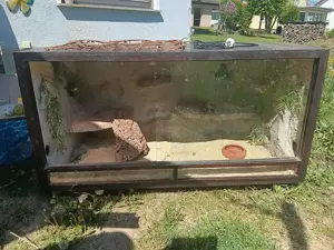 Terrarium 120 60 60 mit Rollen