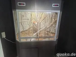 Delta Terrarium