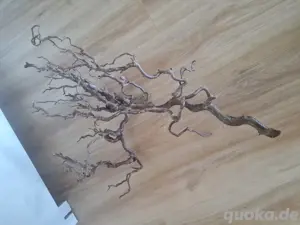 Terrarium Zweig für Reptilien 