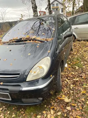 Citroen Xsara Picasso 2.0  Exclusive Top-Edition Anhängerkupplung Bild 2