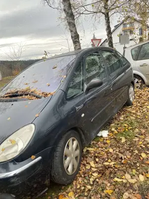 Citroen Xsara Picasso 2.0  Exclusive Top-Edition Anhängerkupplung Bild 5