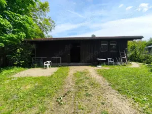 Grundstück mit Offenstall im Sondergebiet Tierkoppeln in Blankenloch