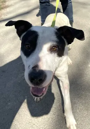 Timea,z.Zt. in Ungarn, sehr offen und freundlich.