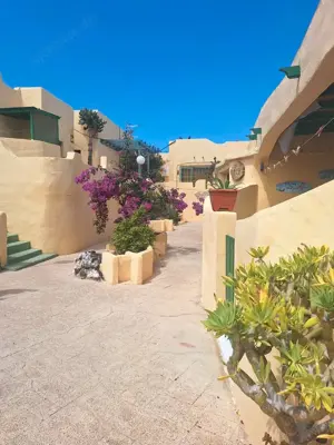 Sonniger, gemütlicher Bungalow auf Fuerteventura - Strandnah!