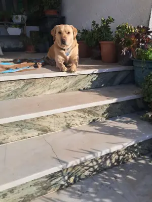  Werden Sie es schaffen Gors Charme zu widerstehen? Bild 3