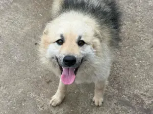 Hübsche Frieda sucht ihr Zuhause