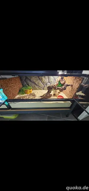 Exoterra Terrarium 90x45x45 mit Heatpanel
