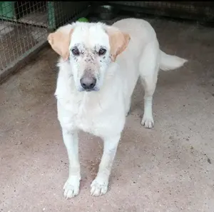 Dolli - Möchte endlich gesehen werden