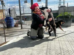 Donald ist ready für eine neues Zuhause Bild 9