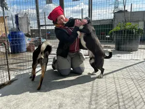 Donald ist ready für eine neues Zuhause Bild 4