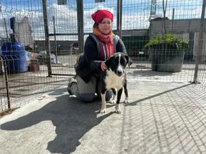 Donald ist ready für eine neues Zuhause Bild 3