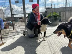 Donald ist ready für eine neues Zuhause Bild 2