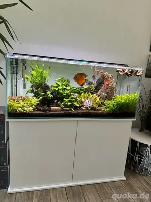 Aquarium komplett 