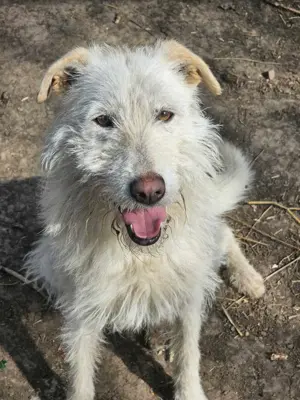 Hübsche Mary wartet schon so lange! Bild 2