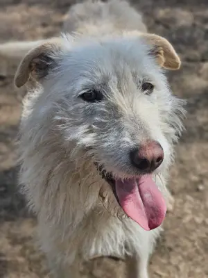 Hübsche Mary wartet schon so lange! Bild 4