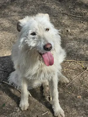 Hübsche Mary wartet schon so lange! Bild 3