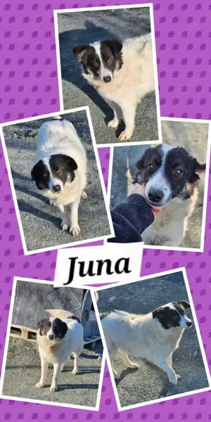 Juna ist so toll- warum sieht man sie nicht???