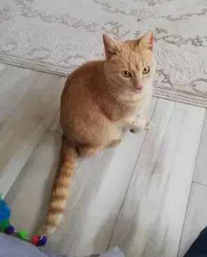 Halloooo,  wir suchen Dich! Ja, Dich  ..