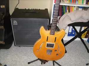 AMPEG BA 300-115 Basscombo Bild 3
